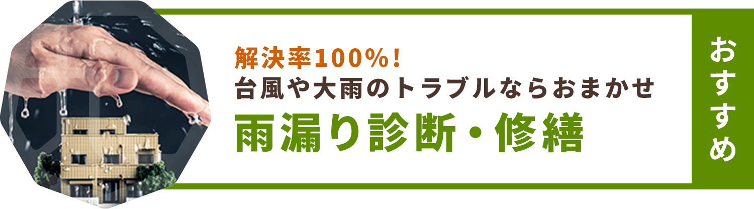 雨漏り診断・修繕