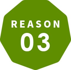 REASON 03