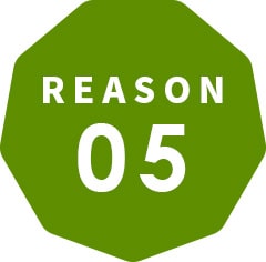 REASON 05