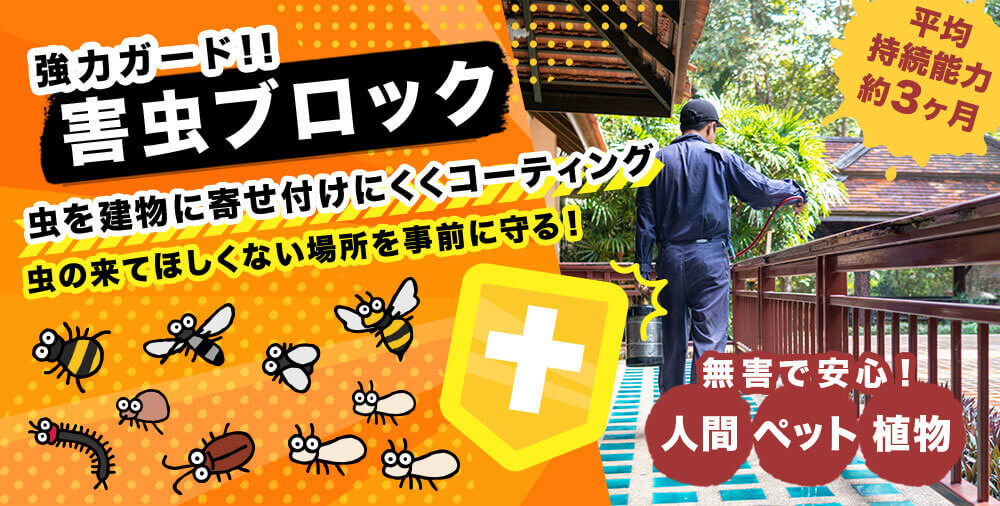 壁塗さんなら安心！磐田市・袋井市エリアで3冠達成!!