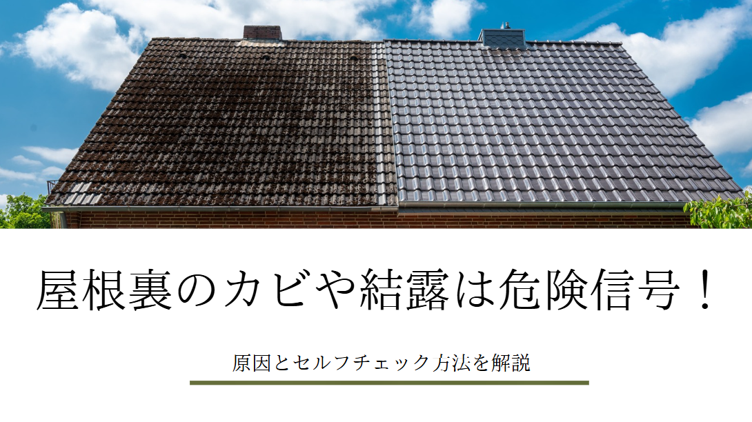 屋根裏のカビや結露は危険信号！原因とセルフチェック方法を解説