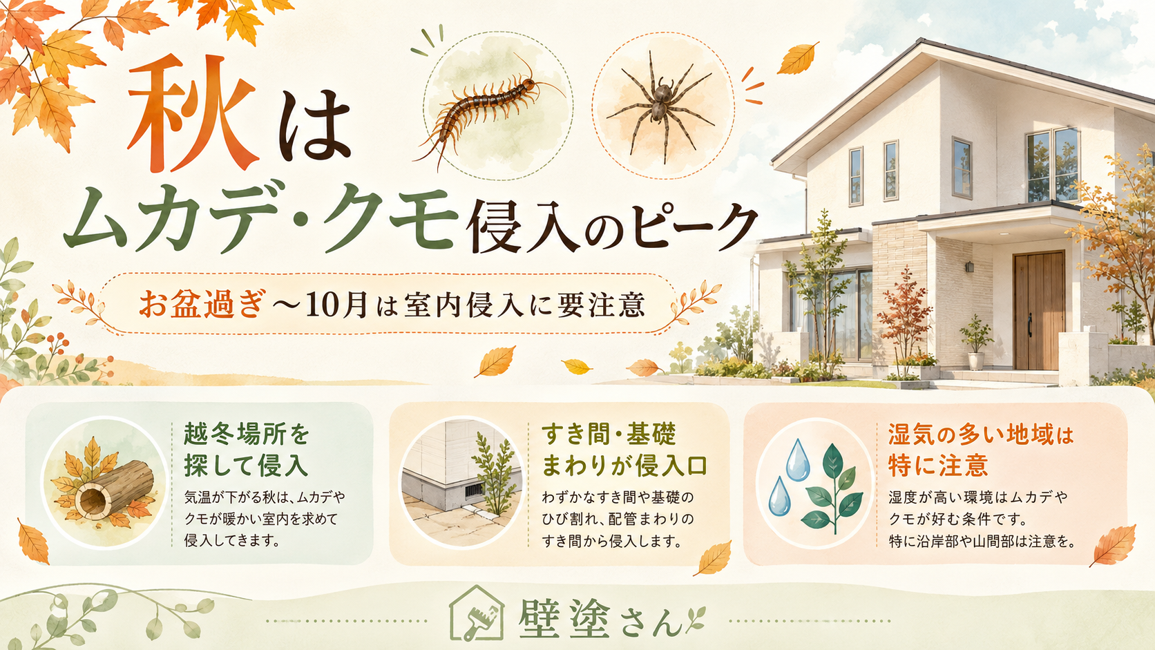 秋の「ムカデ・クモの室内侵入」は夏の終わりに防ぐ!プロが教える『害虫ブロック』による秋の先手必勝バリア
